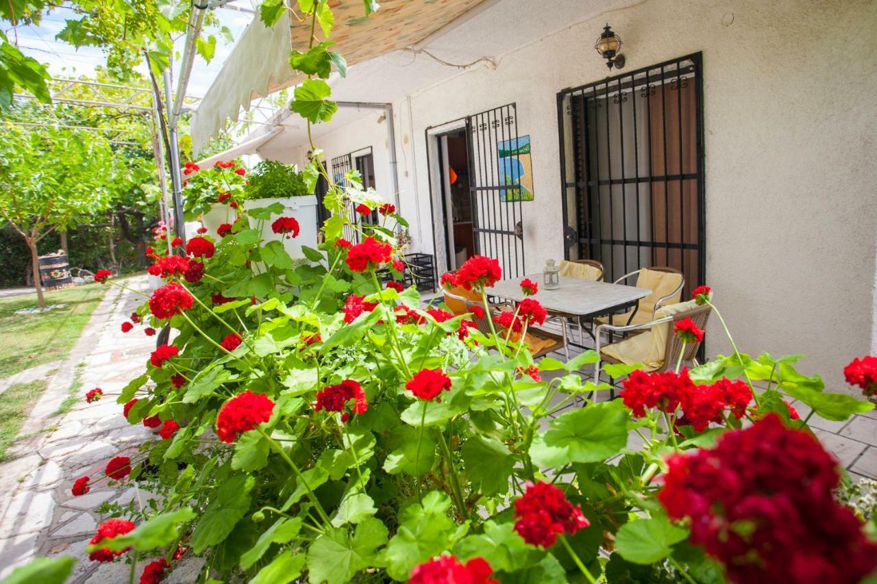 Villa Nakou House Vráchos Exterior foto